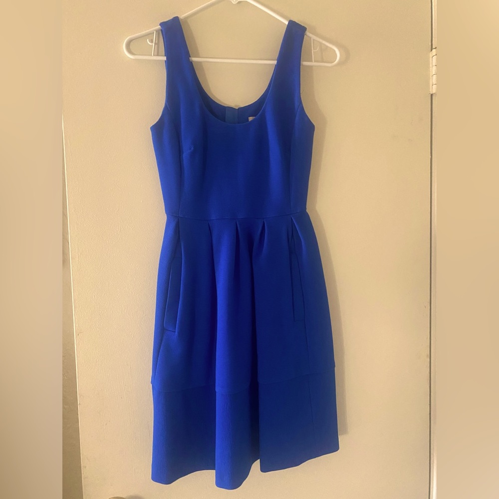 Royal blue beauty